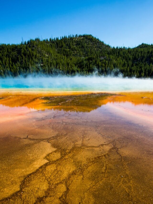 7 Facts About Yellowstone National Park, USA - Dreamtrix